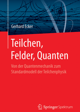 Teilchen, Felder, Quanten